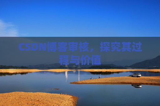 CSDN博客审核,探究其过程与价值